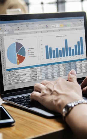 EXCEL EXTENSIVO